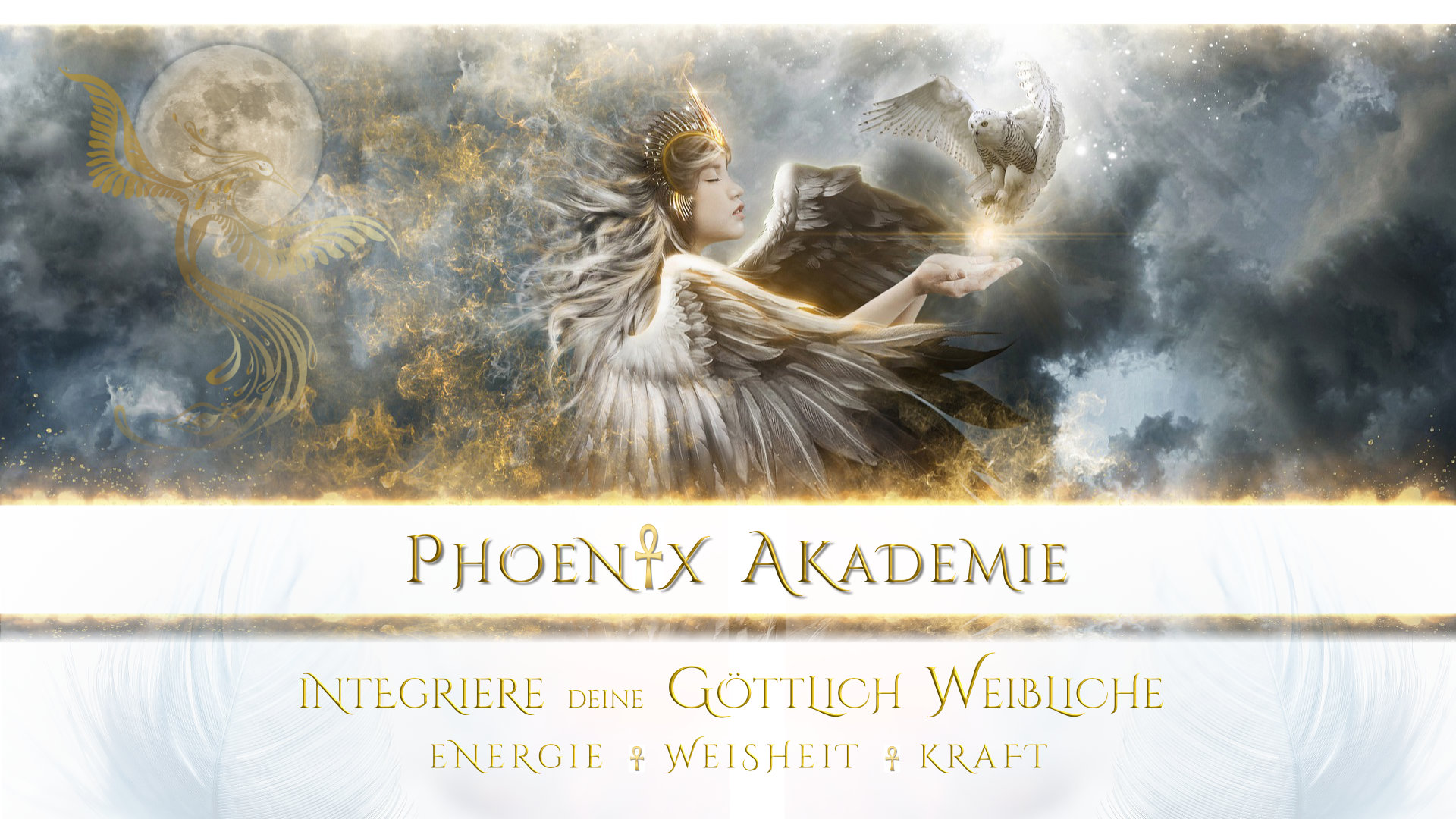 Phoenix Academie