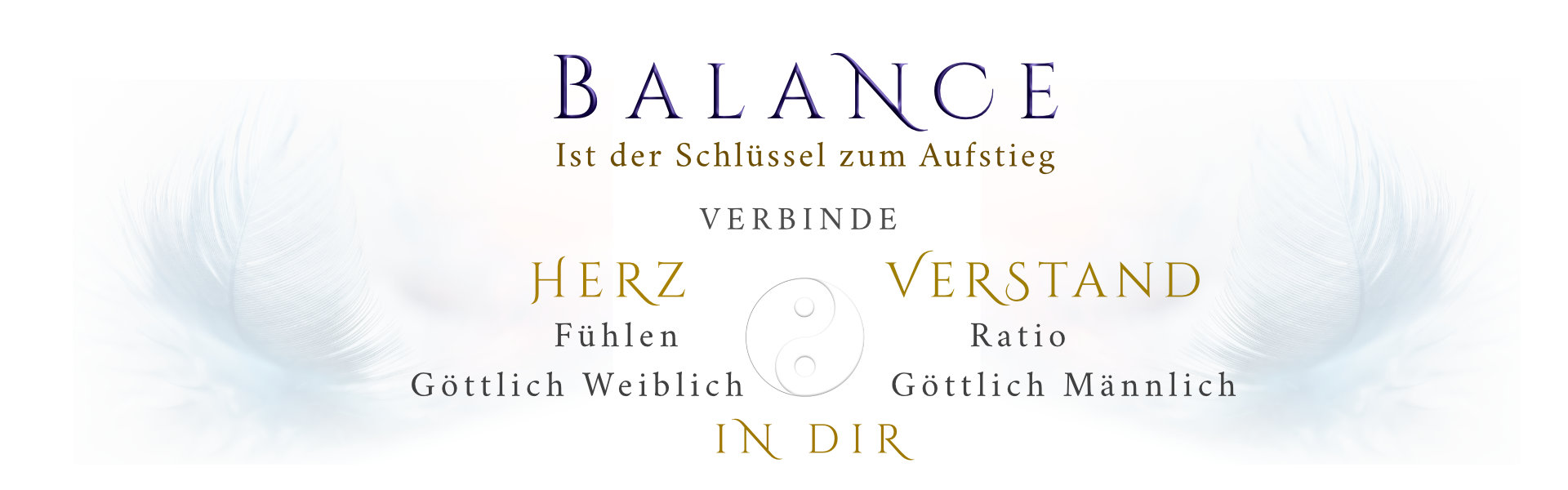 Phoenix Akademie
