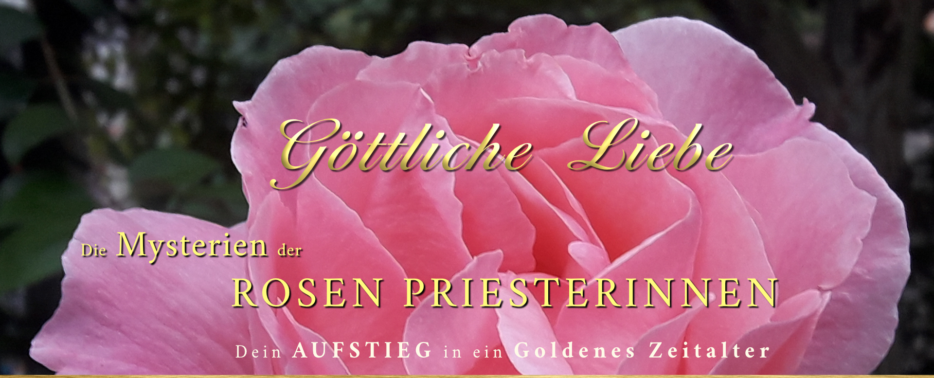 2025 Göttliche Liebe 2 HOME