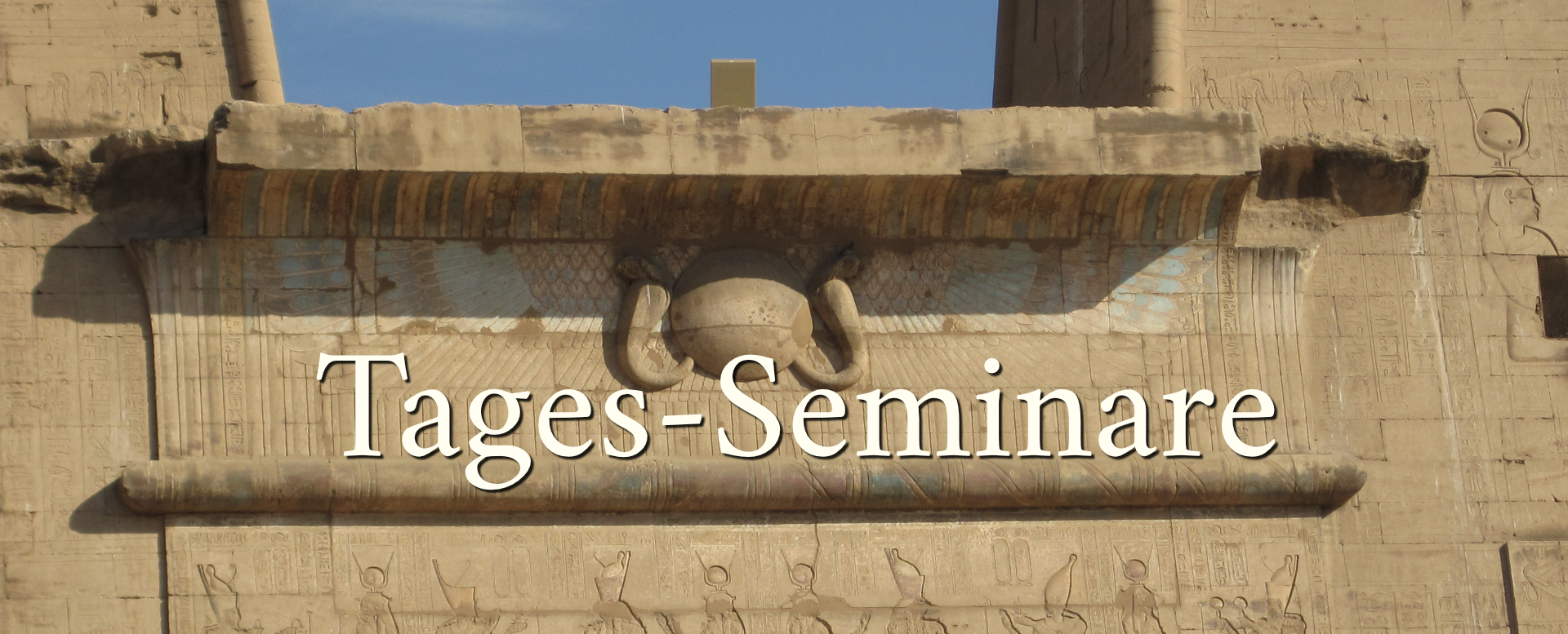 Tages-Seminare